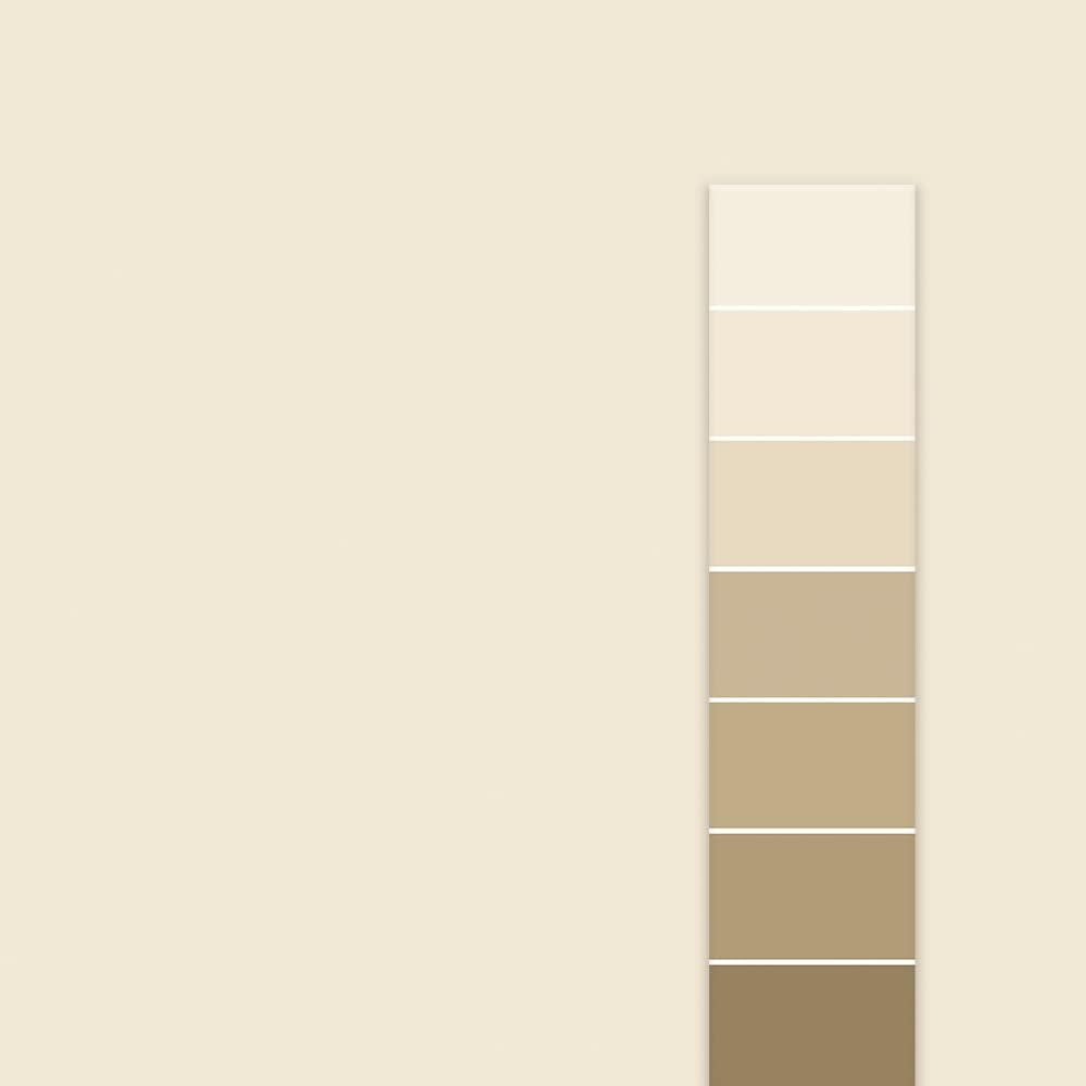 Rodda Paint Cascadia Paint Primer in One Ivory Parchment