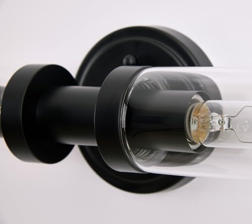 Modern Black Sconces Wall Light with Clear Glass Shade