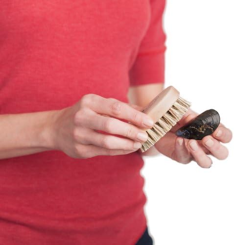 REDECKER Mussel Brush Set of 2 - Beechwood Handle