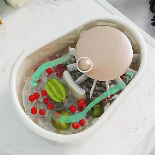 Portable Fruit Scrubbers with LIDS - Green 1