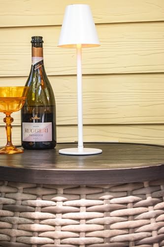 Celestial Lights Newport 4 in 1 Bug Deterrent Patio Lamp