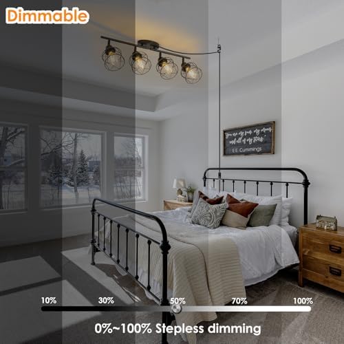 Vivihobb Dimmable 4 Light Plug-in Ceiling Light