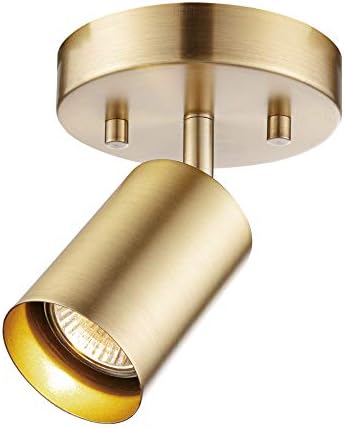 Globe Electric 59765 Matte Brass Spot Light Ceiling Light