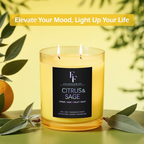 Citrus Sage Scented Candle 9 oz 2-Wick Soy Wax Luxury Aromatherapy Candle