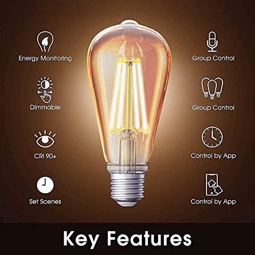 Zigbee Smart Edison Bulb Bundle with Hub Required