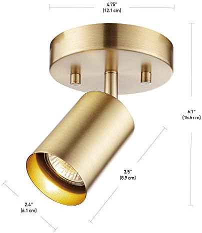 Globe Electric 59765 Matte Brass Spot Light Ceiling Light