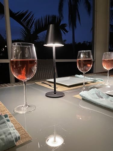 Celestial Lights Newport 4 in 1 Bug Deterrent Patio Lamp