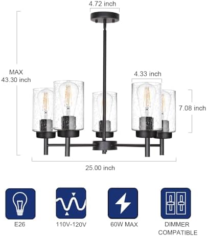 TODOLUZ 5-Lights Black Chandelier with Seeded Glass Shade