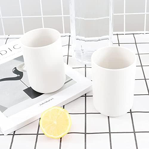 Pestrema 2 Piece Toothbrush Holder Set White