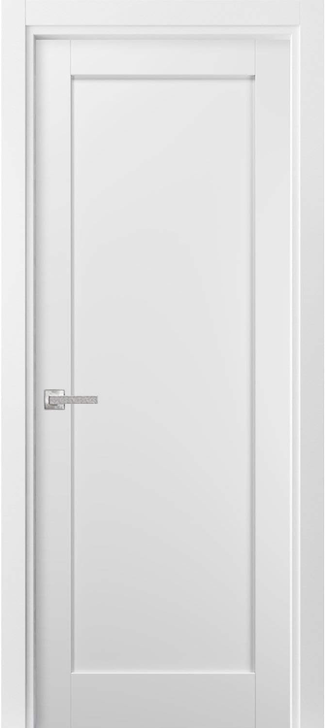 SARTODOORS Solid MDF Pantry Door 42x80 with Hardware