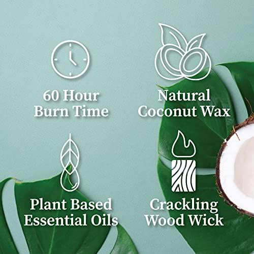 Hemlock Park Crackling Wood Wick Candle Amber 8 oz
