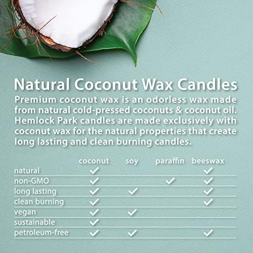 Hemlock Park Crackling Wood Wick Candle Amber 8 oz