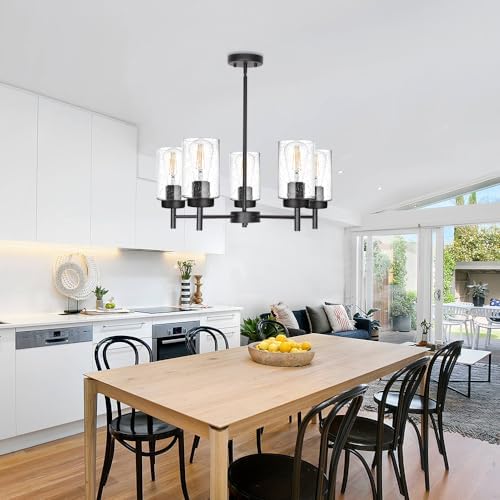 TODOLUZ 5-Lights Black Chandelier with Seeded Glass Shade