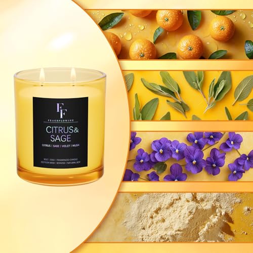 Citrus Sage Scented Candle 9 oz 2-Wick Soy Wax Luxury Aromatherapy Candle