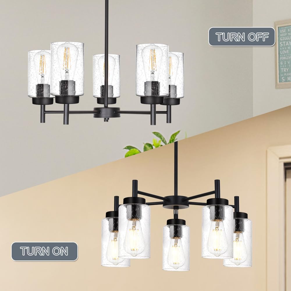 TODOLUZ 5-Lights Black Chandelier with Seeded Glass Shade