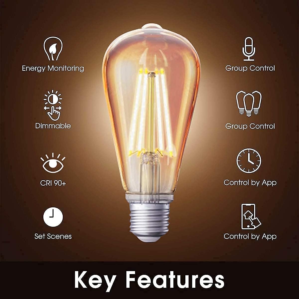 Zigbee Smart Edison Bulb Bundle with Hub Required