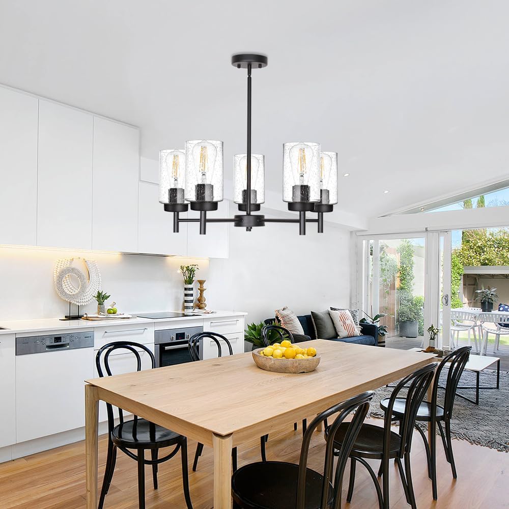 TODOLUZ 5-Lights Black Chandelier with Seeded Glass Shade