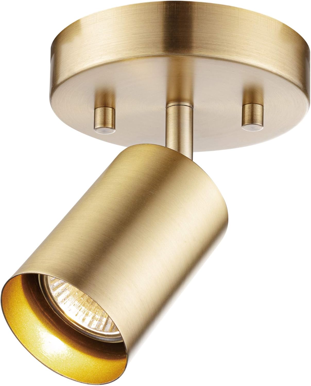 Globe Electric 59765 Matte Brass Spot Light Ceiling Light