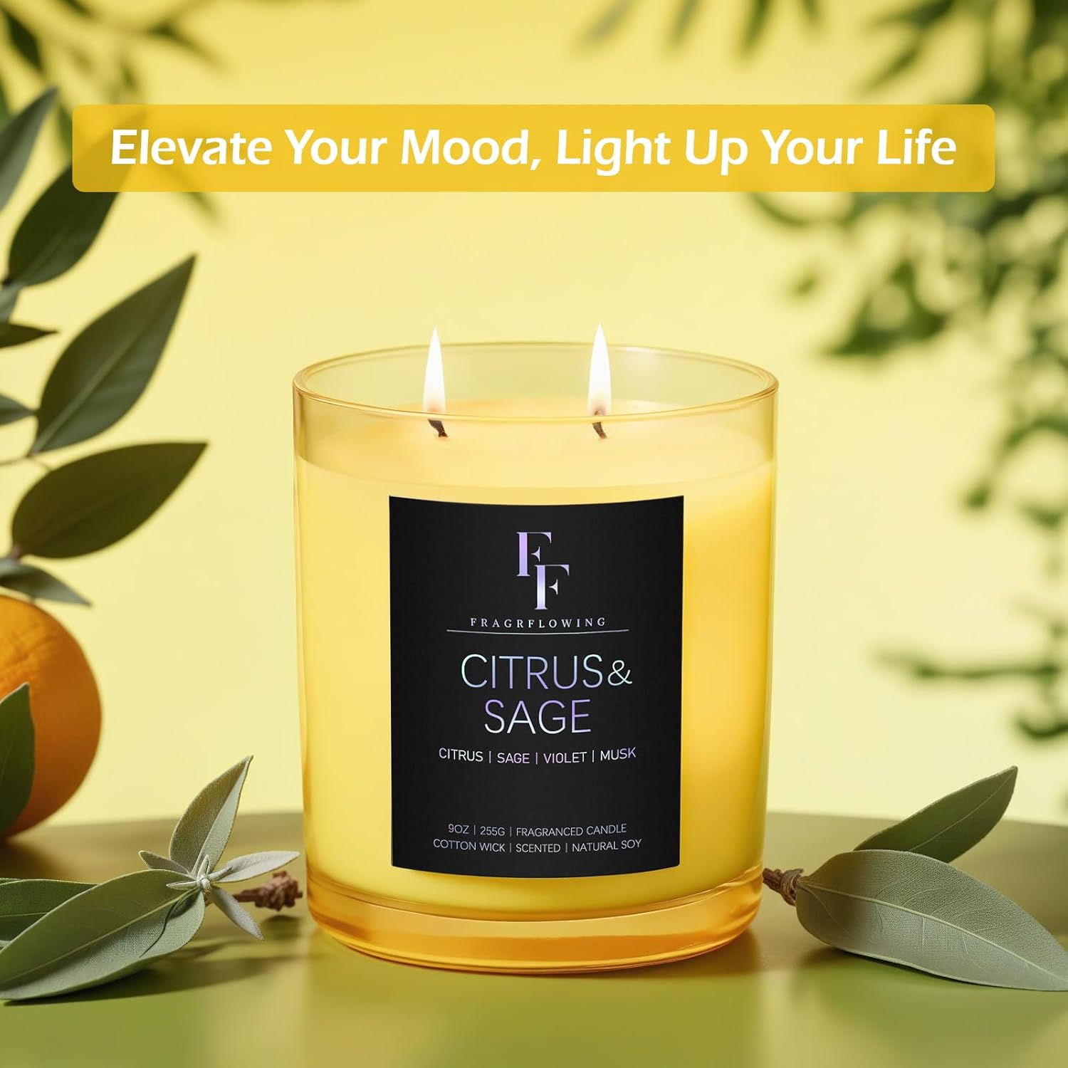 Citrus Sage Scented Candle 9 oz 2-Wick Soy Wax Luxury Aromatherapy Candle
