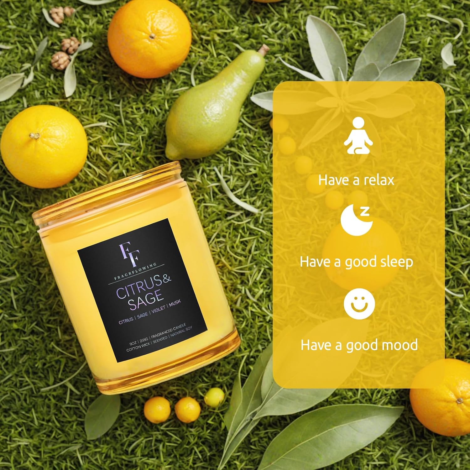 Citrus Sage Scented Candle 9 oz 2-Wick Soy Wax Luxury Aromatherapy Candle