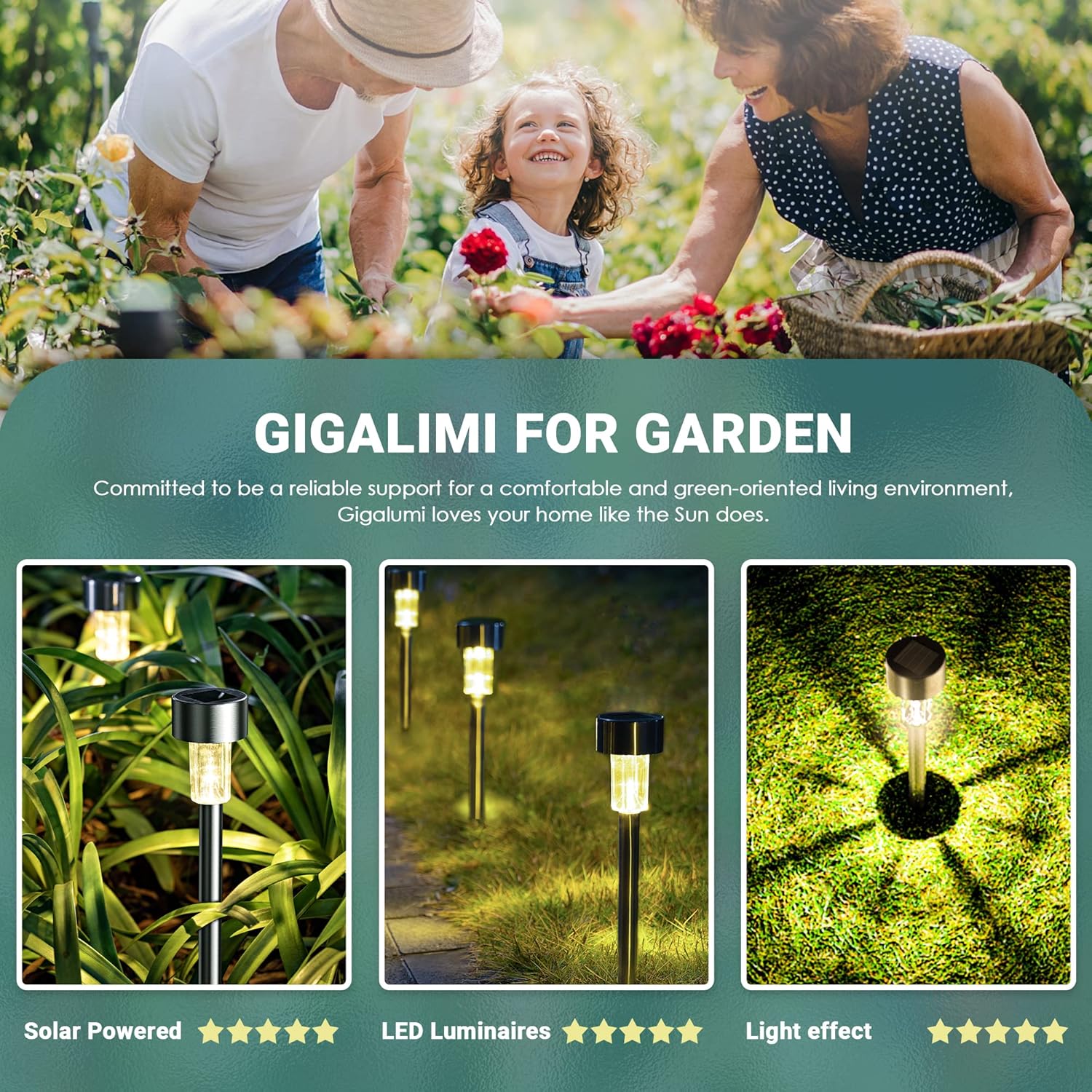 GIGALUMI 16 Pack Solar Path Lights Outdoor